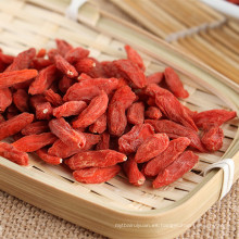 Baya de Goji con poca humedad / Bayas de Goji secas y nutritivas